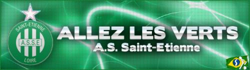 Mais informações sobre "Banner do Saint-Étienne (França)"