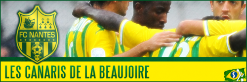 Mais informações sobre "Banner do Nantes (França)"