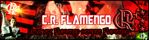 Mais informações sobre "Banner do Flamengo (Brasil)"