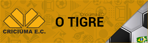 Mais informações sobre "Banner do Criciúma (Brasil)"